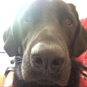 Meet your Posher, Tori